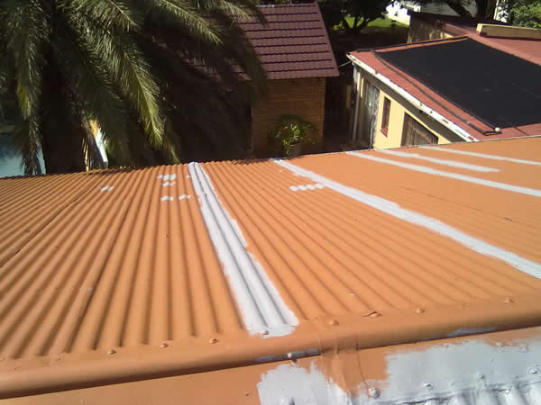 Waterproofing and Roof Painting